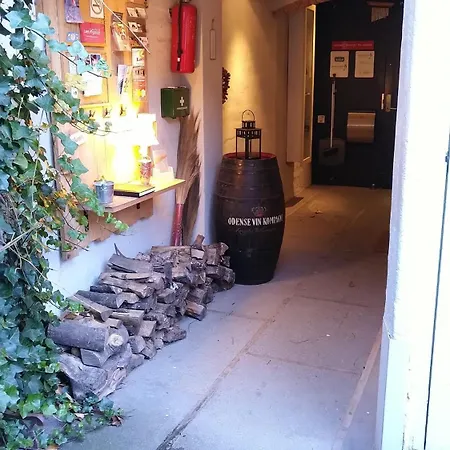 Cozy 1 - Free Parking In The Street Camping Odense
